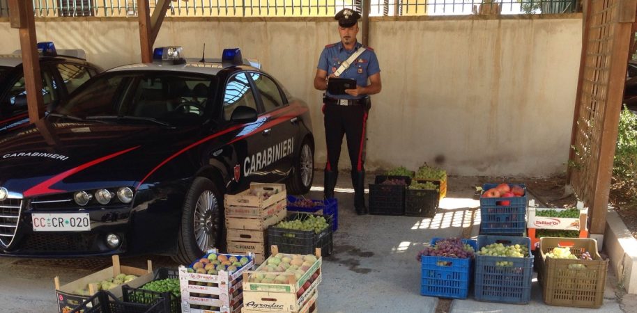 La frutta sequestrata dai carabinieri