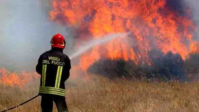 Vigili del fuoco spengono un incendio di bosco