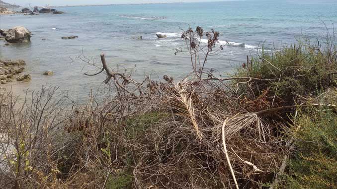 I rifiuti abbandonati vivino alla spiaggia di Balatazze