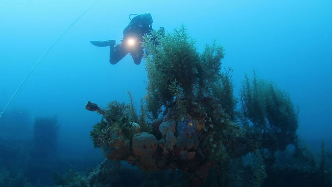 Il sopralluogo nella nave affondata