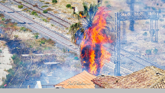 Palma stazione bruciata
