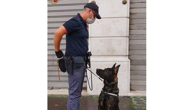 Cane e poliziotto