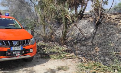 Incendi di sterpaglie