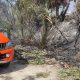 Incendi di sterpaglie