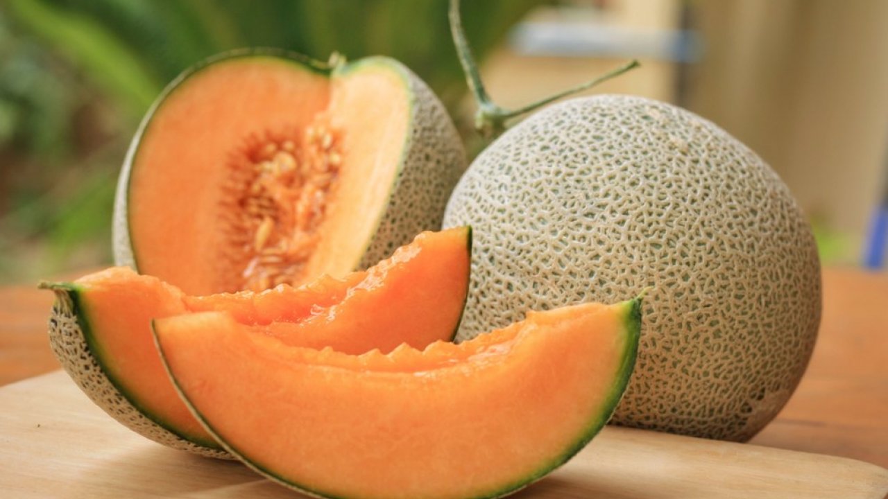 Cantalupo