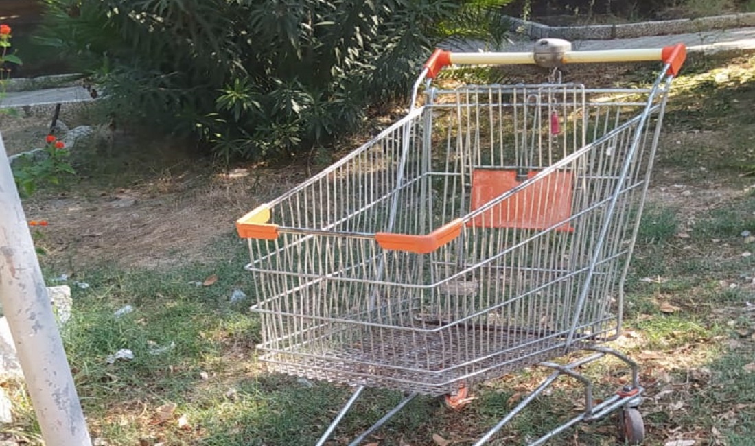 Carrello alla villa