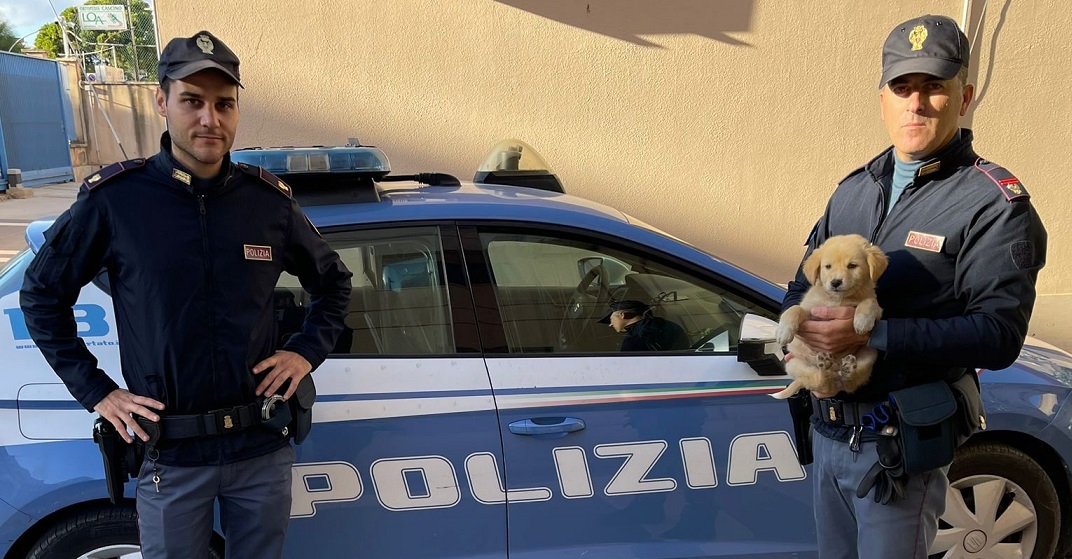 Poliziotti salvano cucciolo