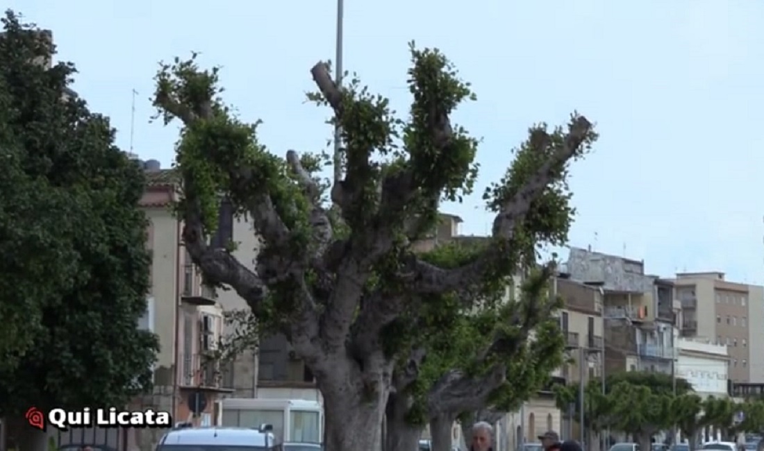 Via Principe di Napoli