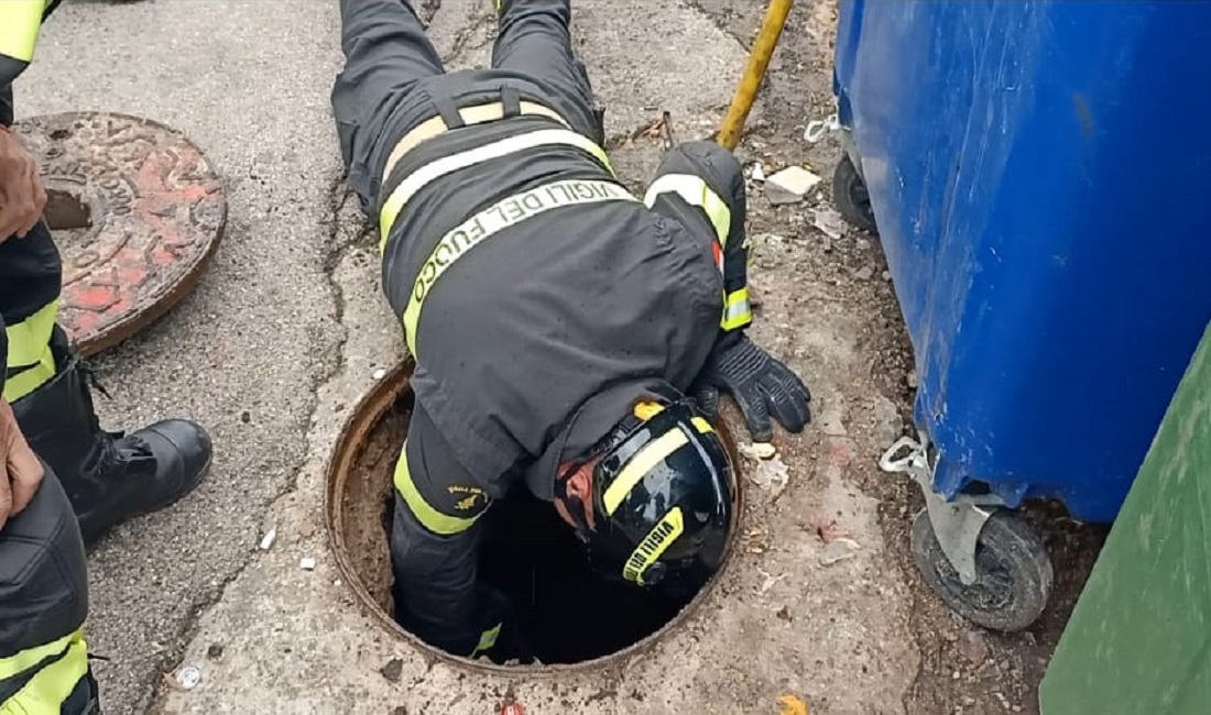 Vigili del fuoco salvano cane