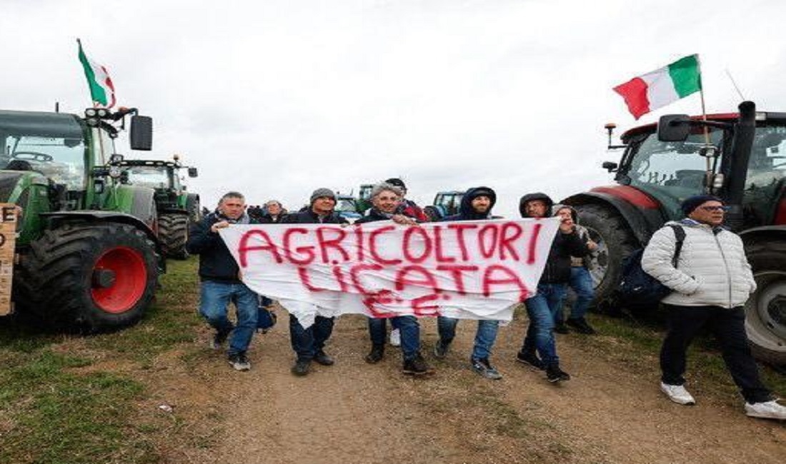 Agricoltori Licata