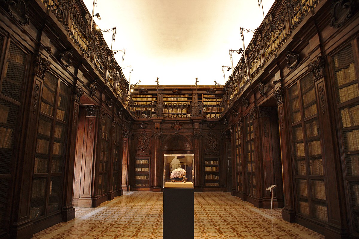 Biblioteca Lucchesiana