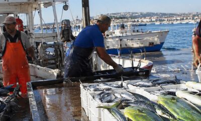 pescatori